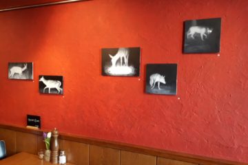 Bilderausstellung von Helen Fricker